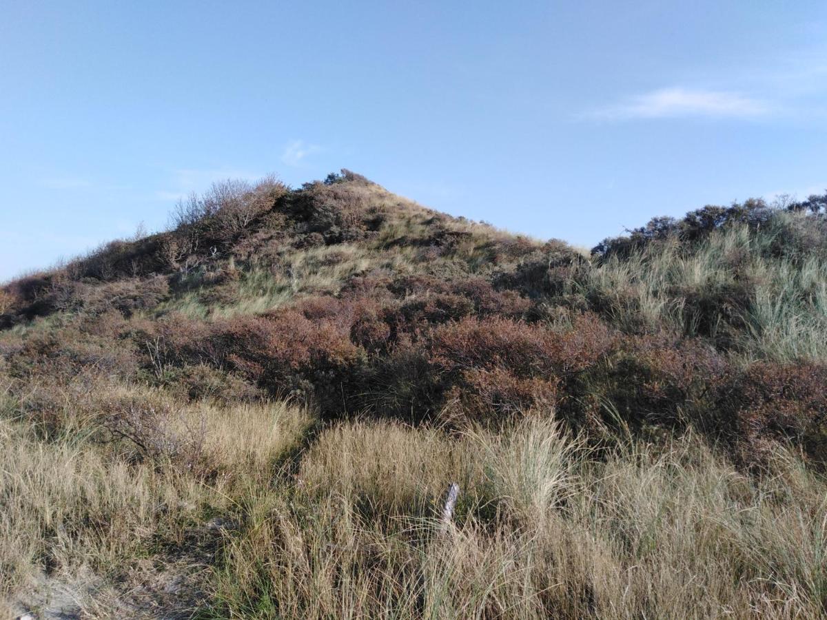 Tante Cher A La Mer - Zeeland Biggekerke Kültér fotó